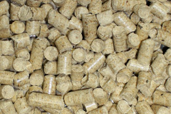 Maggots End biomass boiler costs